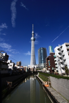 スカイツリー