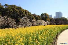 春景色