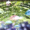 雨上がり