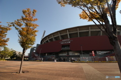 マツダズームズームスタジアム