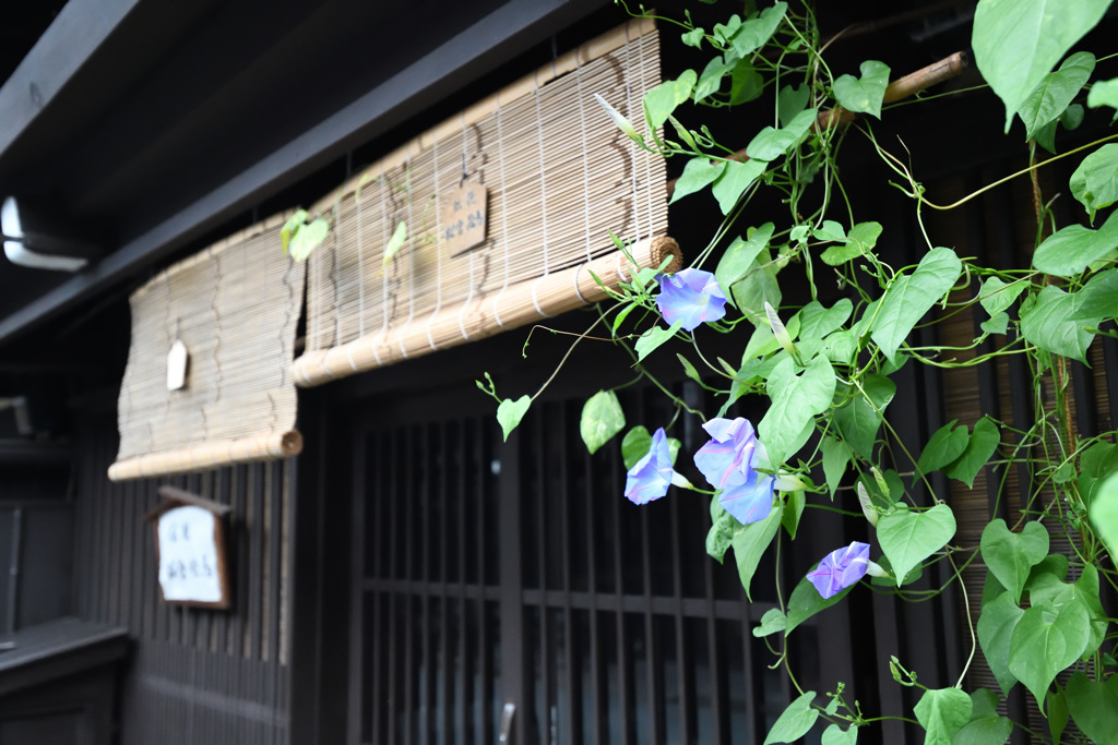 店構