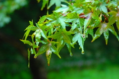 潤滴