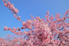 強風でも
