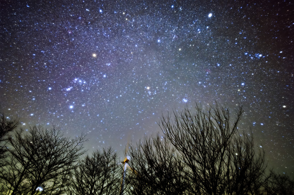 Stardust
