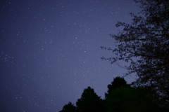IMG_0198_filtered
