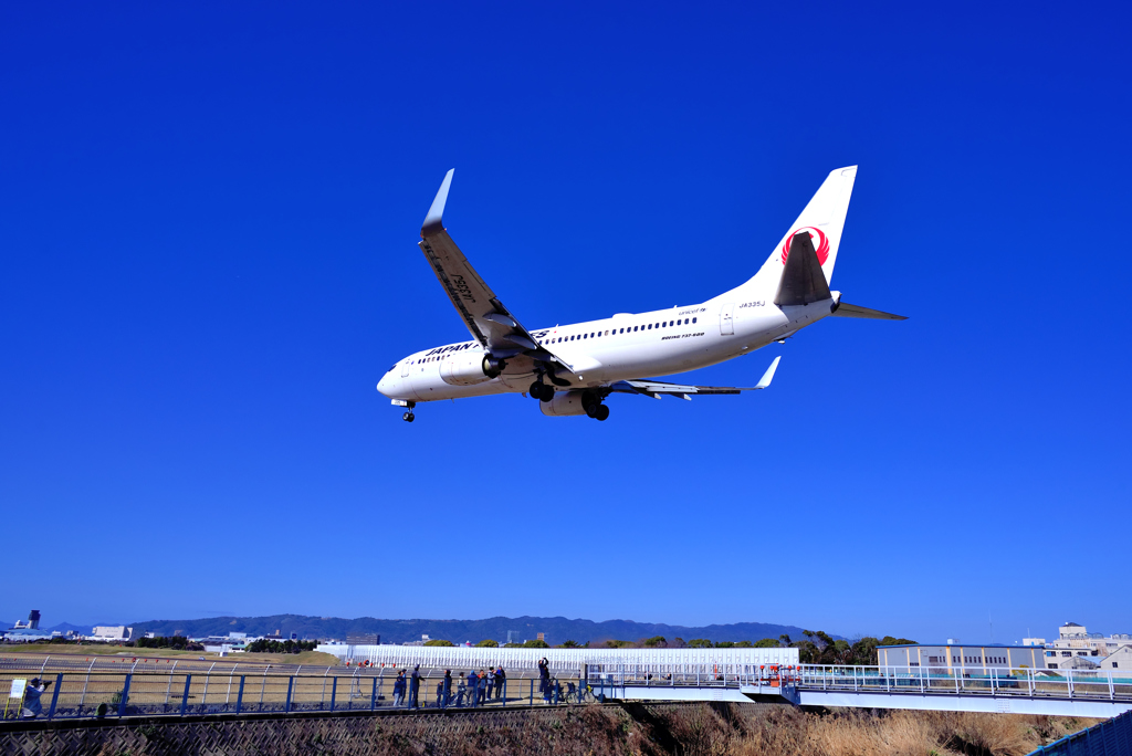 休日の千里川堤防