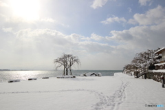 夏のような雪景色