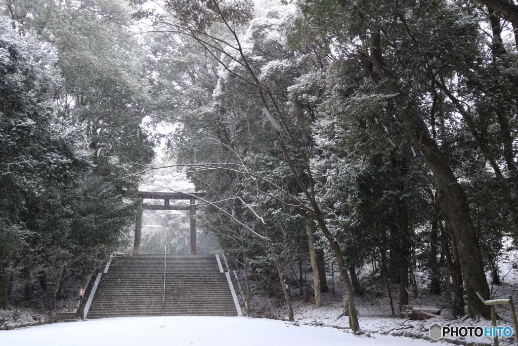 冬の鳥居