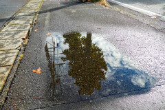 水溜まりのスクリーン
