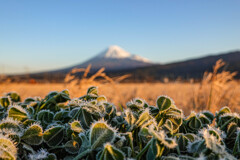 冷たさの中の暖かさ