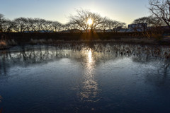 氷が少しずつ解けてきたよ。