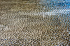 風のメロディー