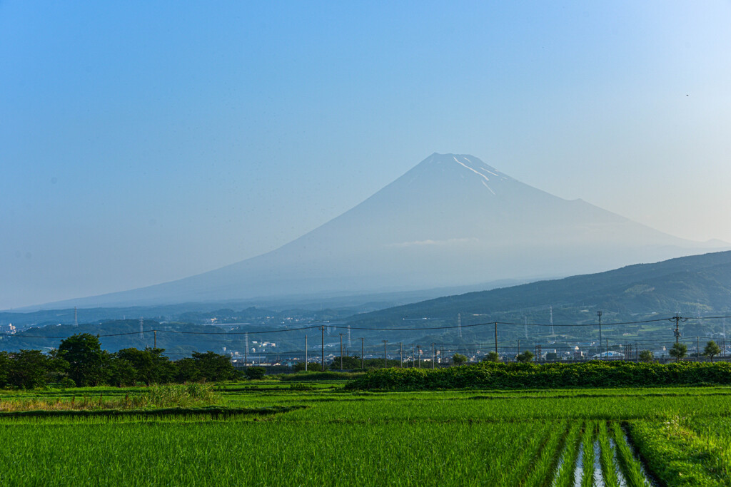 うっすら見えたよ～(^^♪