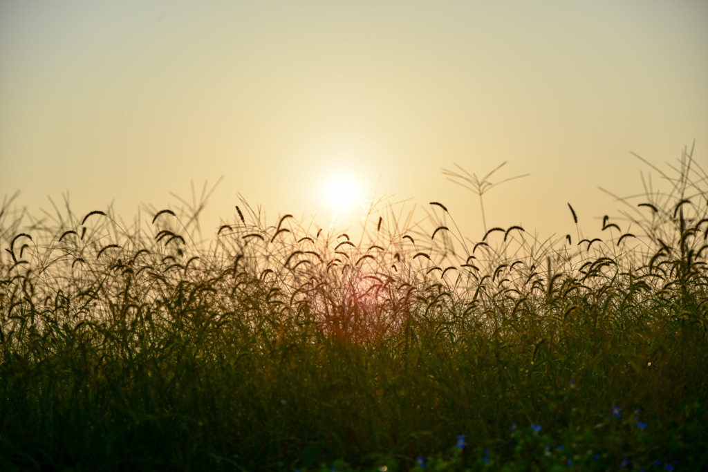 草原からおはよ～♪