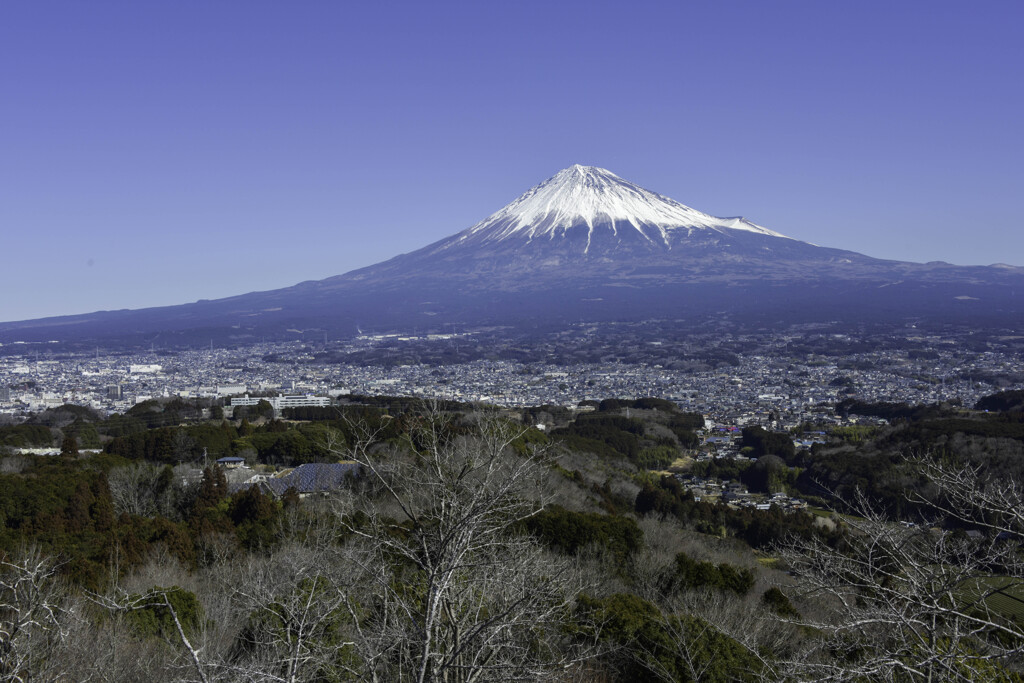 明星山から見えた富士山