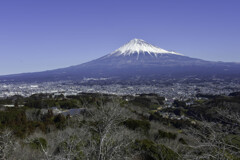 明星山から見えた富士山