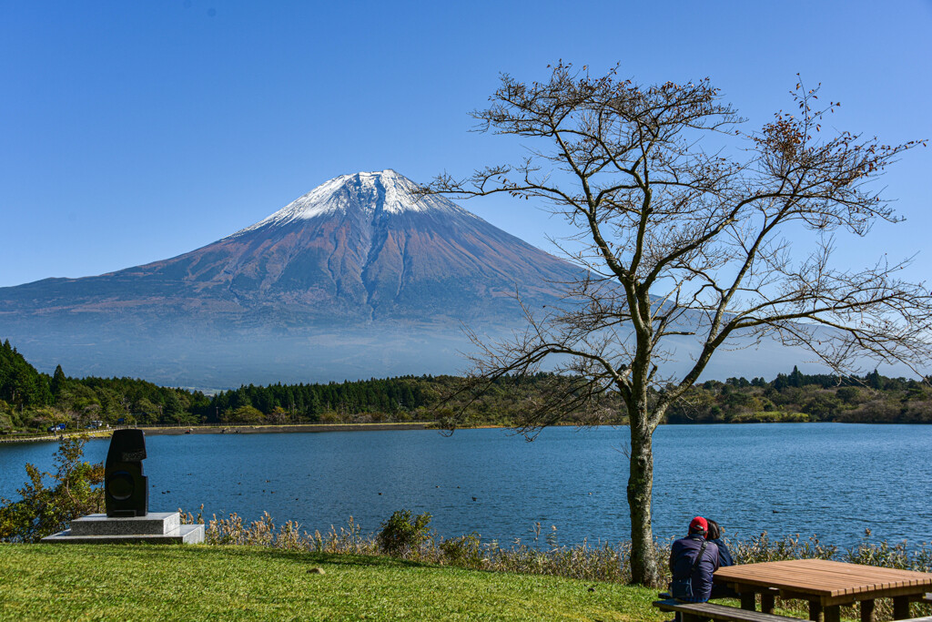 静かに眺めていたい