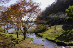 紅葉日和