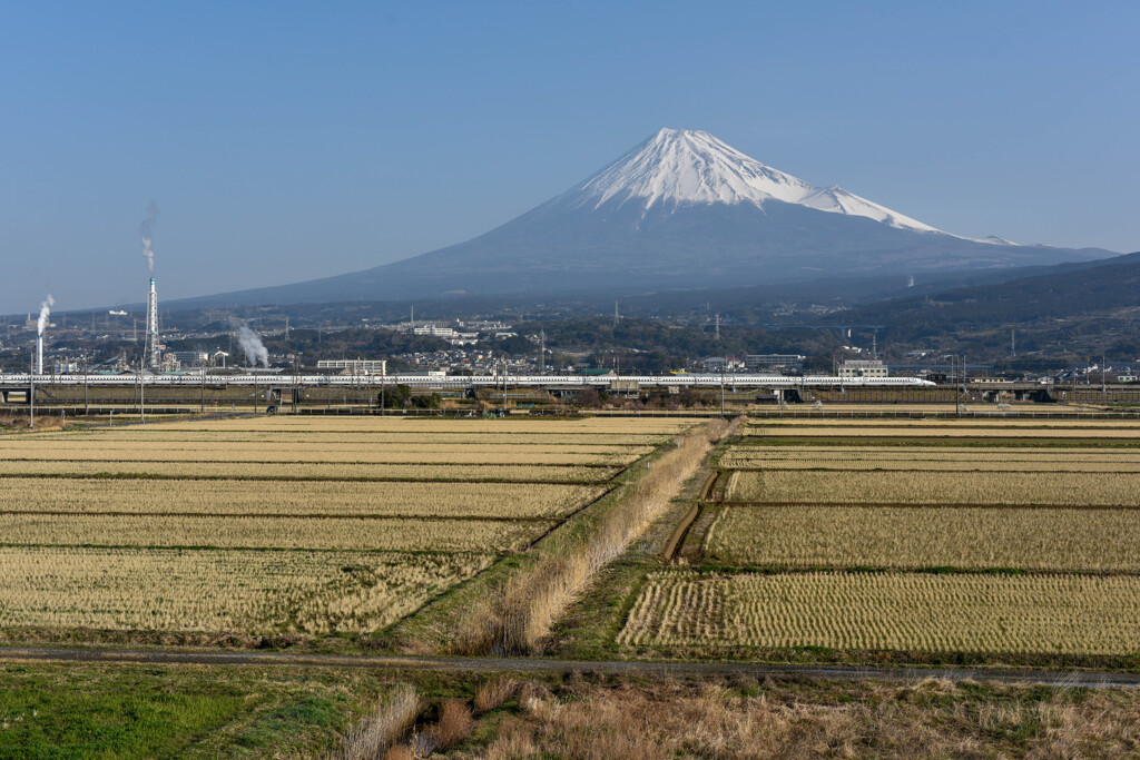 田んぼと富士山
