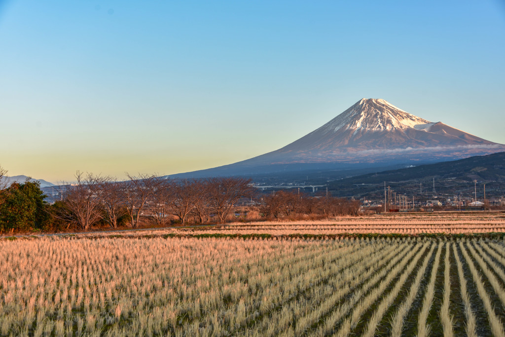 おはよう富士山