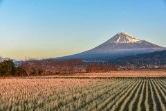 おはよう富士山