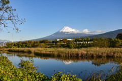 川面に映る雄姿