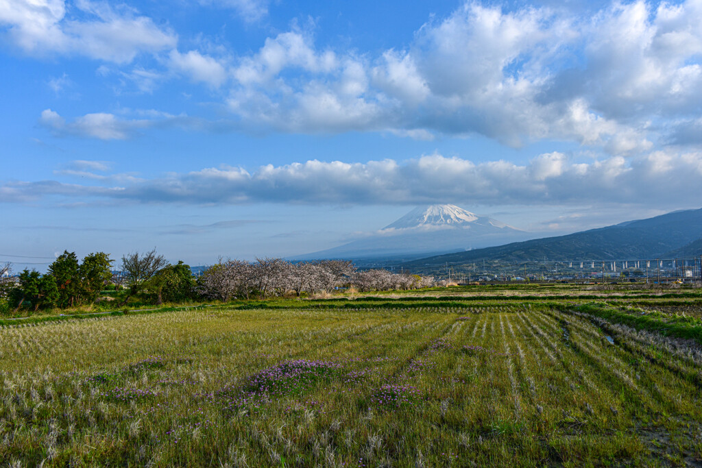 春田の風景