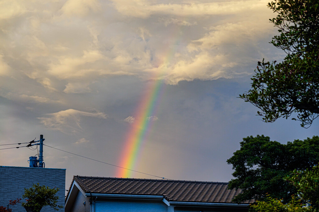 屋根の向こうの虹