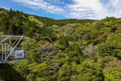 新緑に風わたる