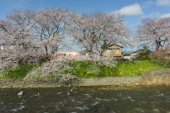 春に誘われて