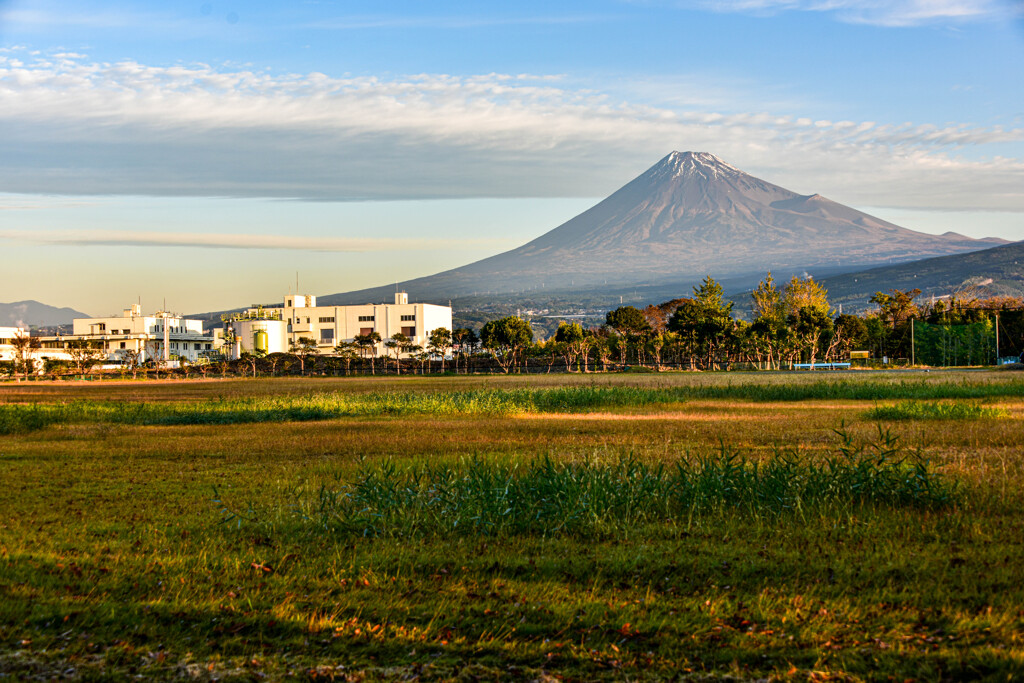 野球場から見た富士山