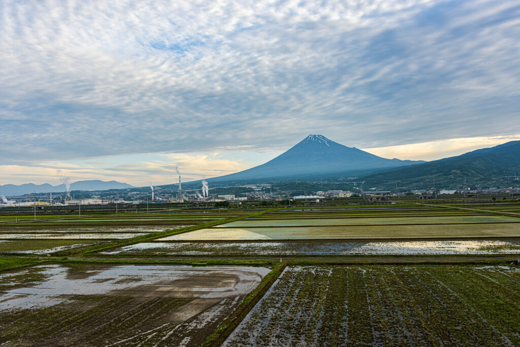 梅雨の風景