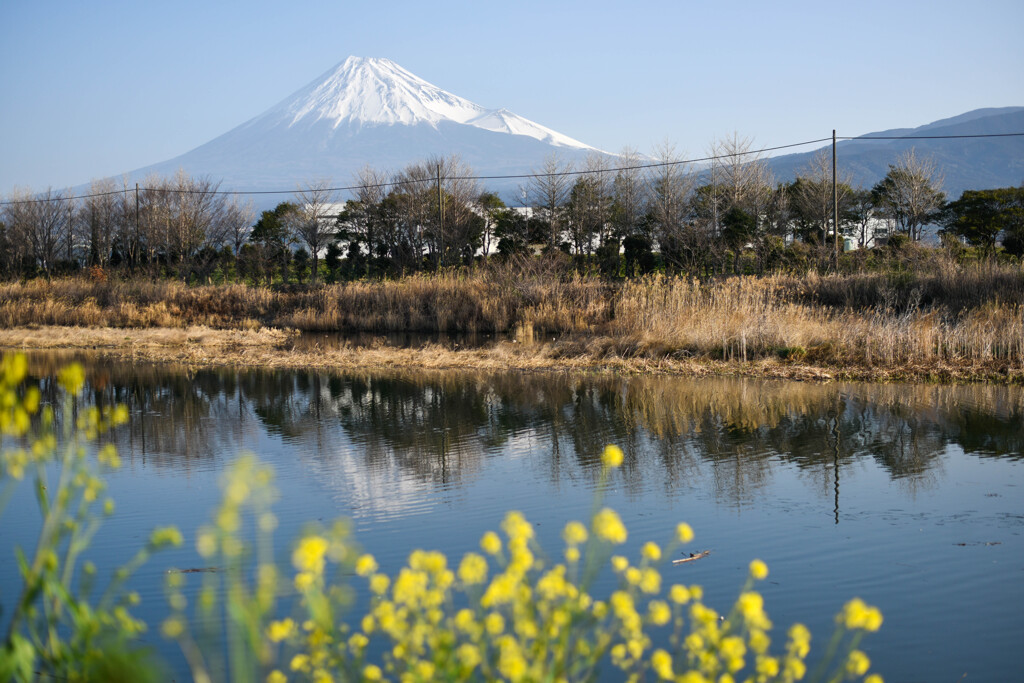 散歩の風景
