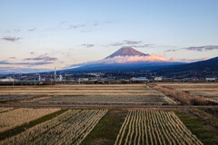 新年の富士山