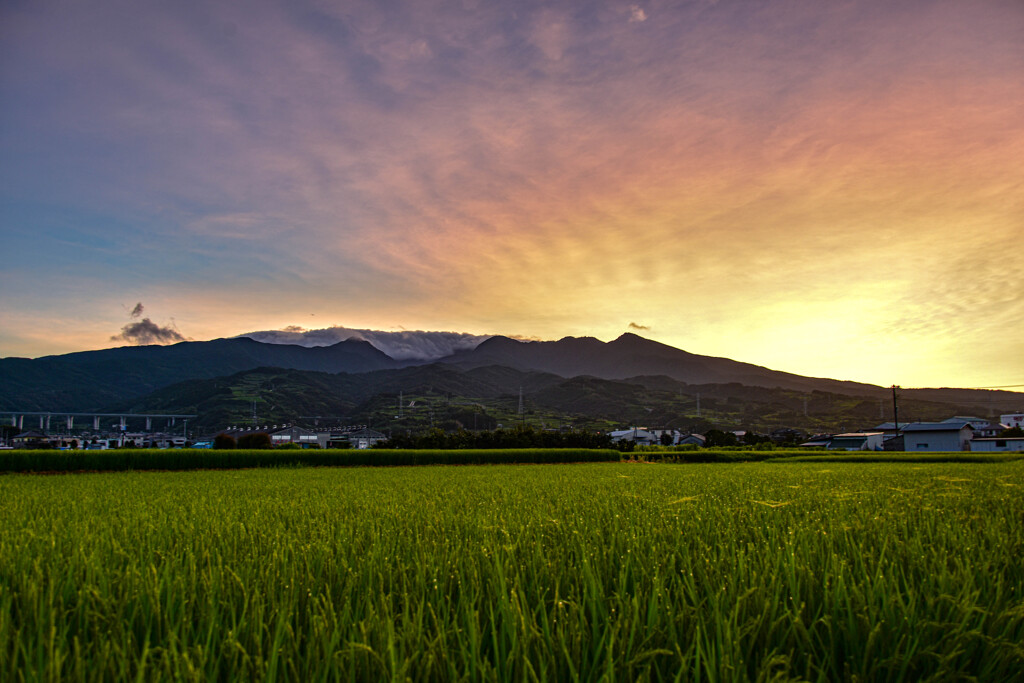 朝がやってきた