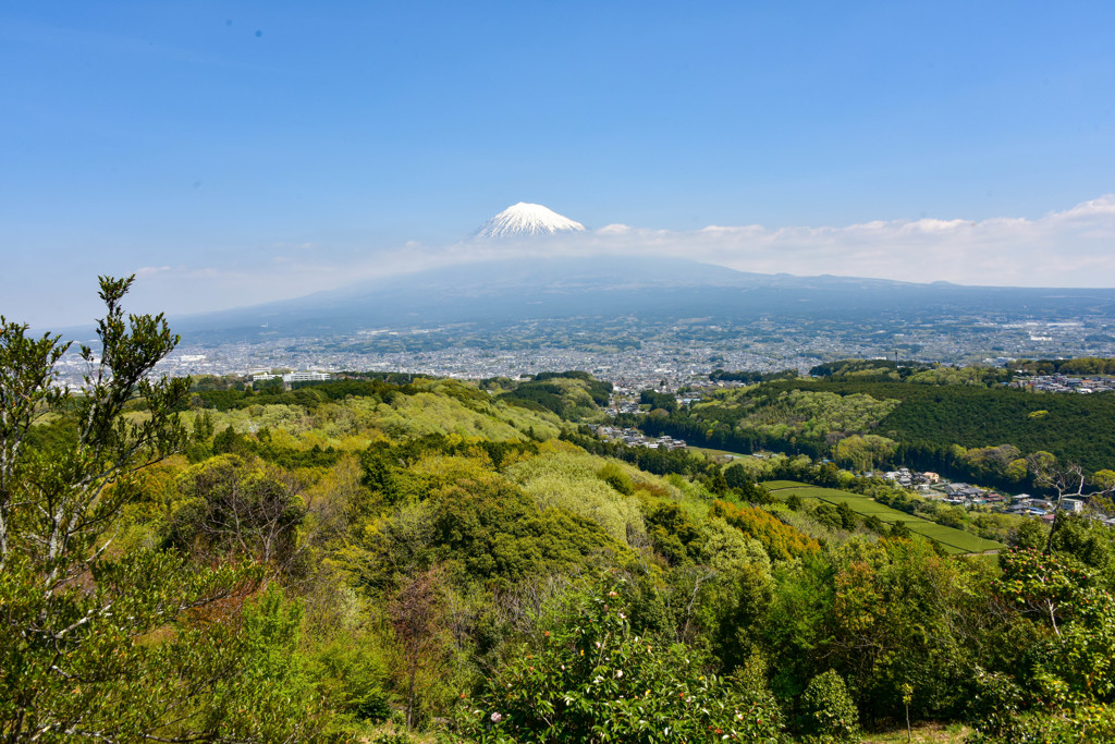 山の上から眺めたら