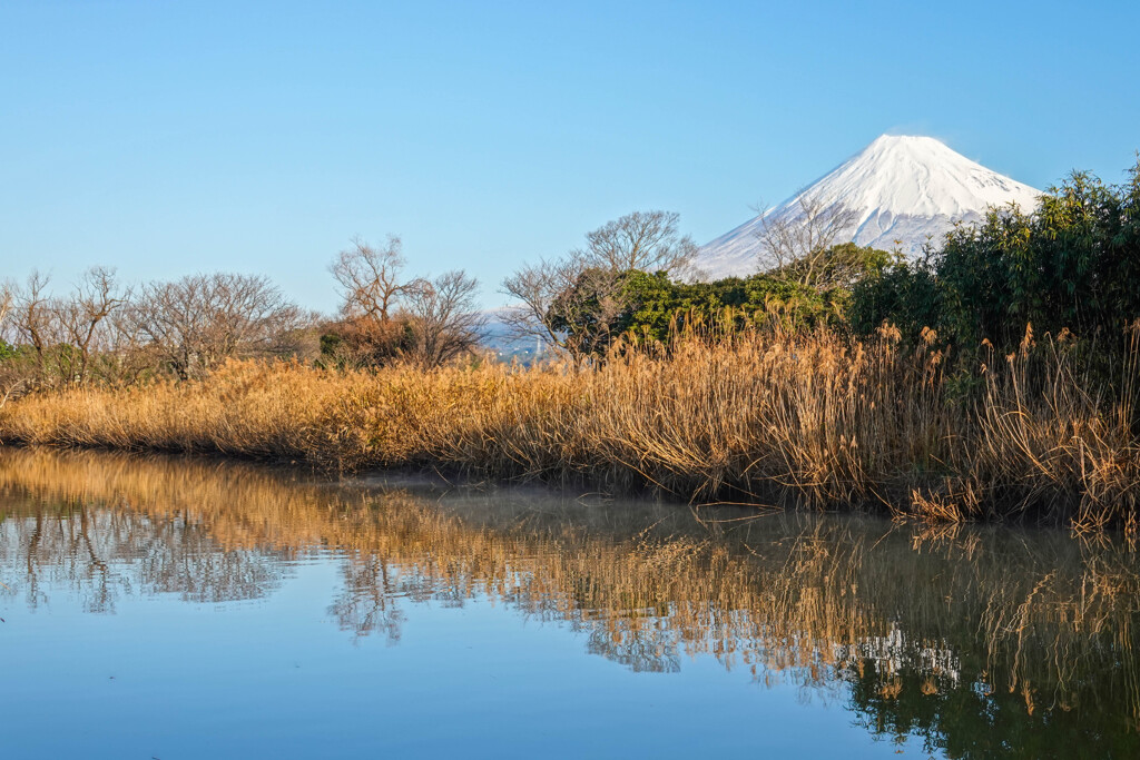 冬景色