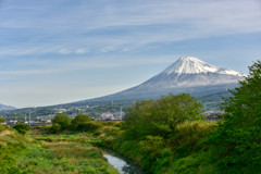 新緑と富士山