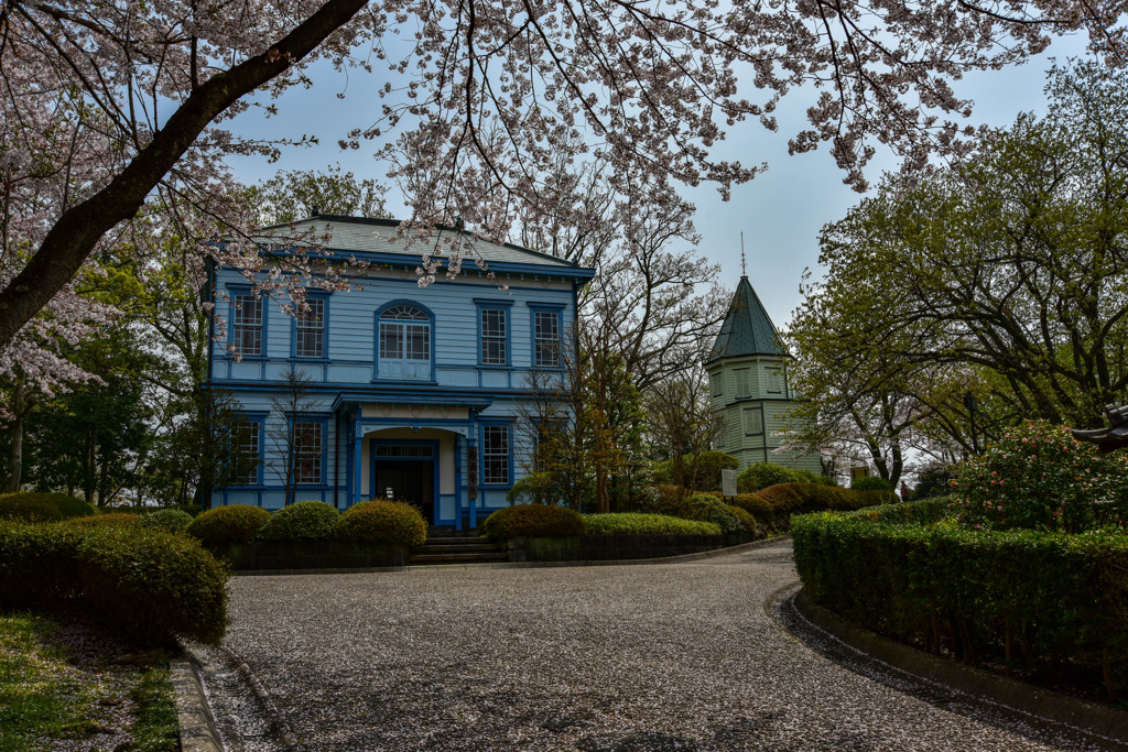 桜と西洋館