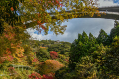 橋の下の紅葉