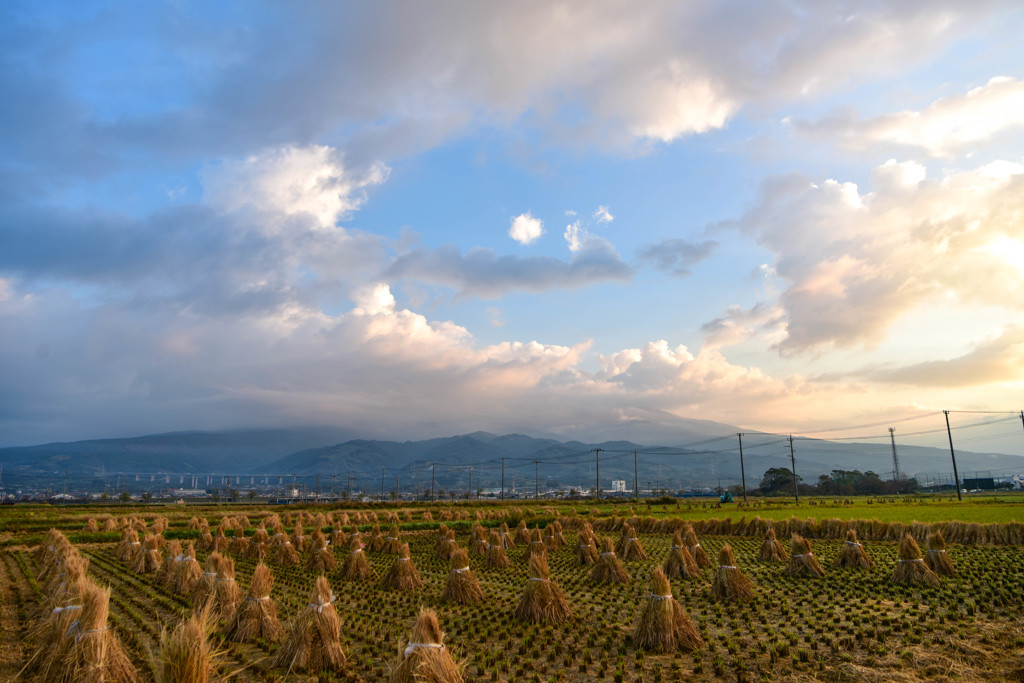 過行く季節の中で
