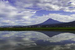 水田に写る富士山