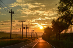 朝日に輝く道路