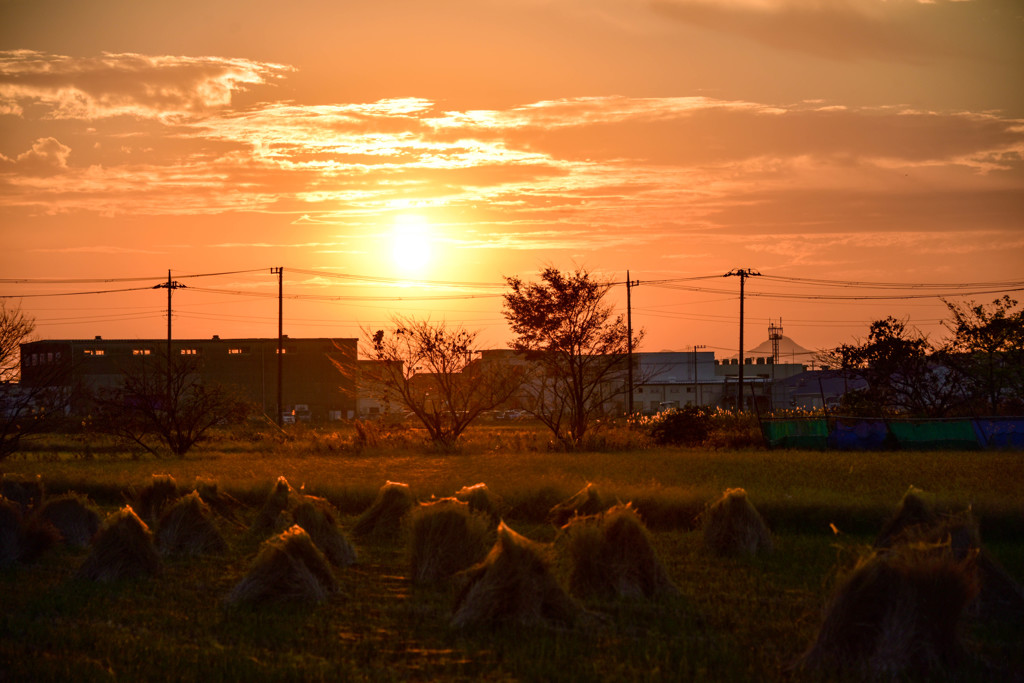 うっとり日の出