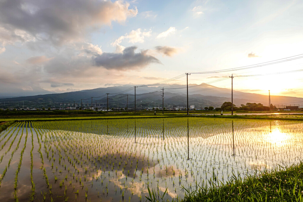 今だけの風景