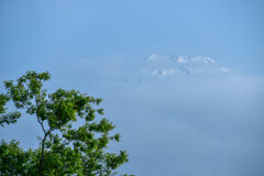 恥ずかしがりやの富士山