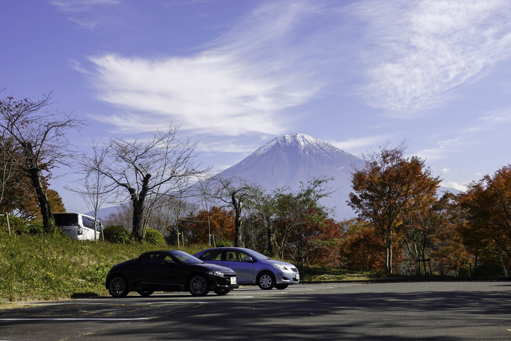 紅葉見ごろ