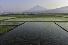 梅雨の合間の風景