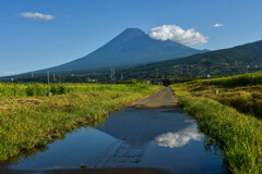 夏の富士山