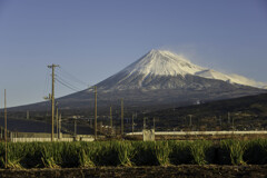 玉ねぎ畑と富士山